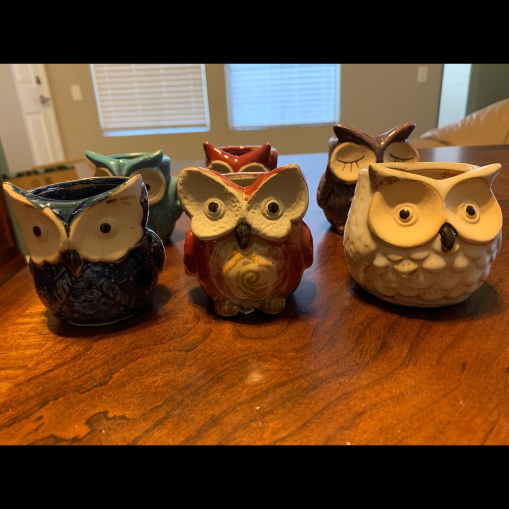 Owl potter planters